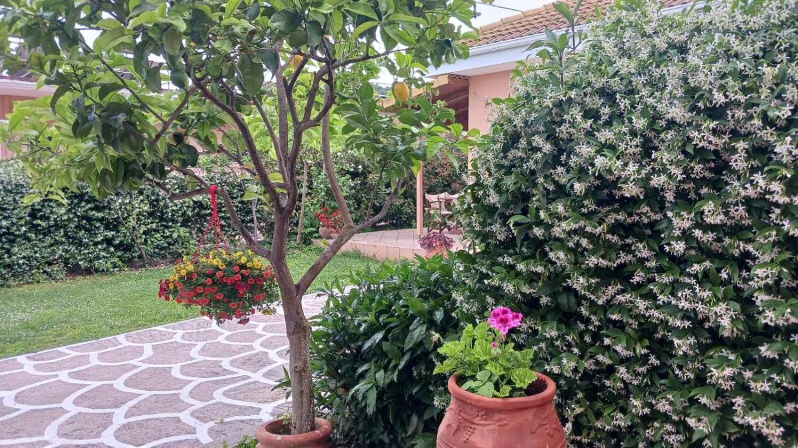 Villa Ioannidis Parga Exteriér fotografie